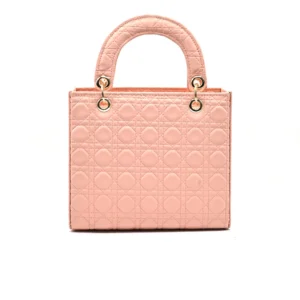 Luxeira Astric Crossbody Hand Bag- Pink
