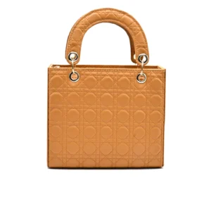 Luxeira Astric crossbody Hand Bag - Tang